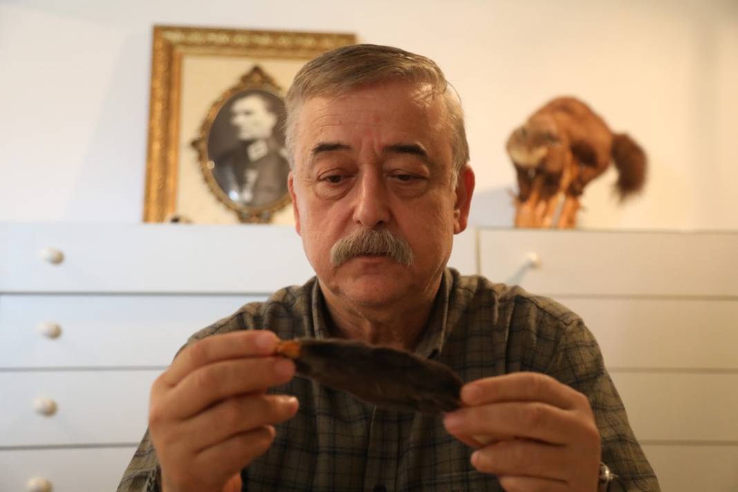 Karadeniz'de yayılmaya başladı! İlk kez yaşanıyor, yurt dışından özel ekip geldi 13